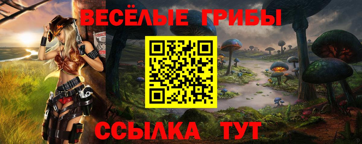 Псилоцибиновые грибы мицелий  Галлюциногенные грибы Cubensis  Шарыпово  Вход с VPN 