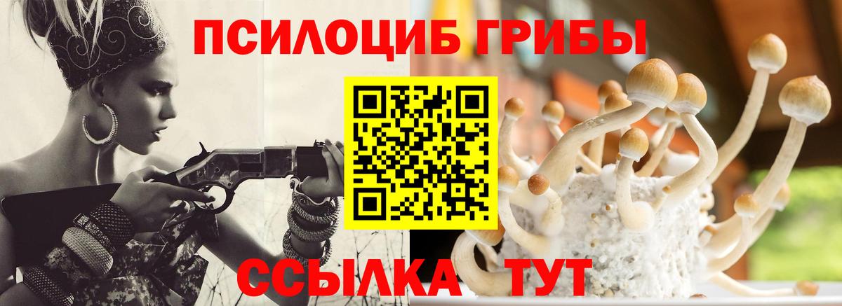 Галлюциногенные грибы Psilocybine cubensis Шарыпово